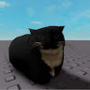 Meet your Posher, Vance